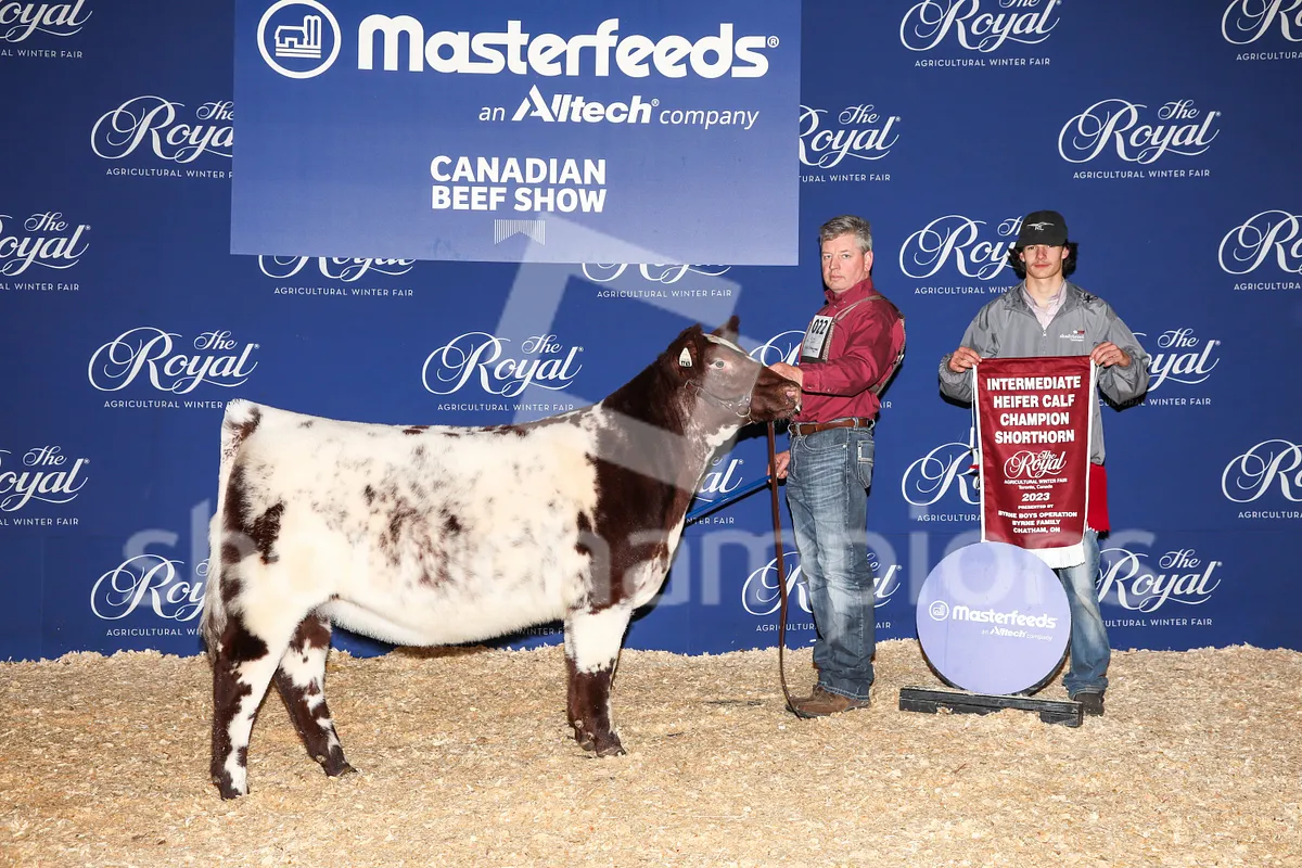 Backdrop Image G5vSxyTZi3KSBpJLjdtnst