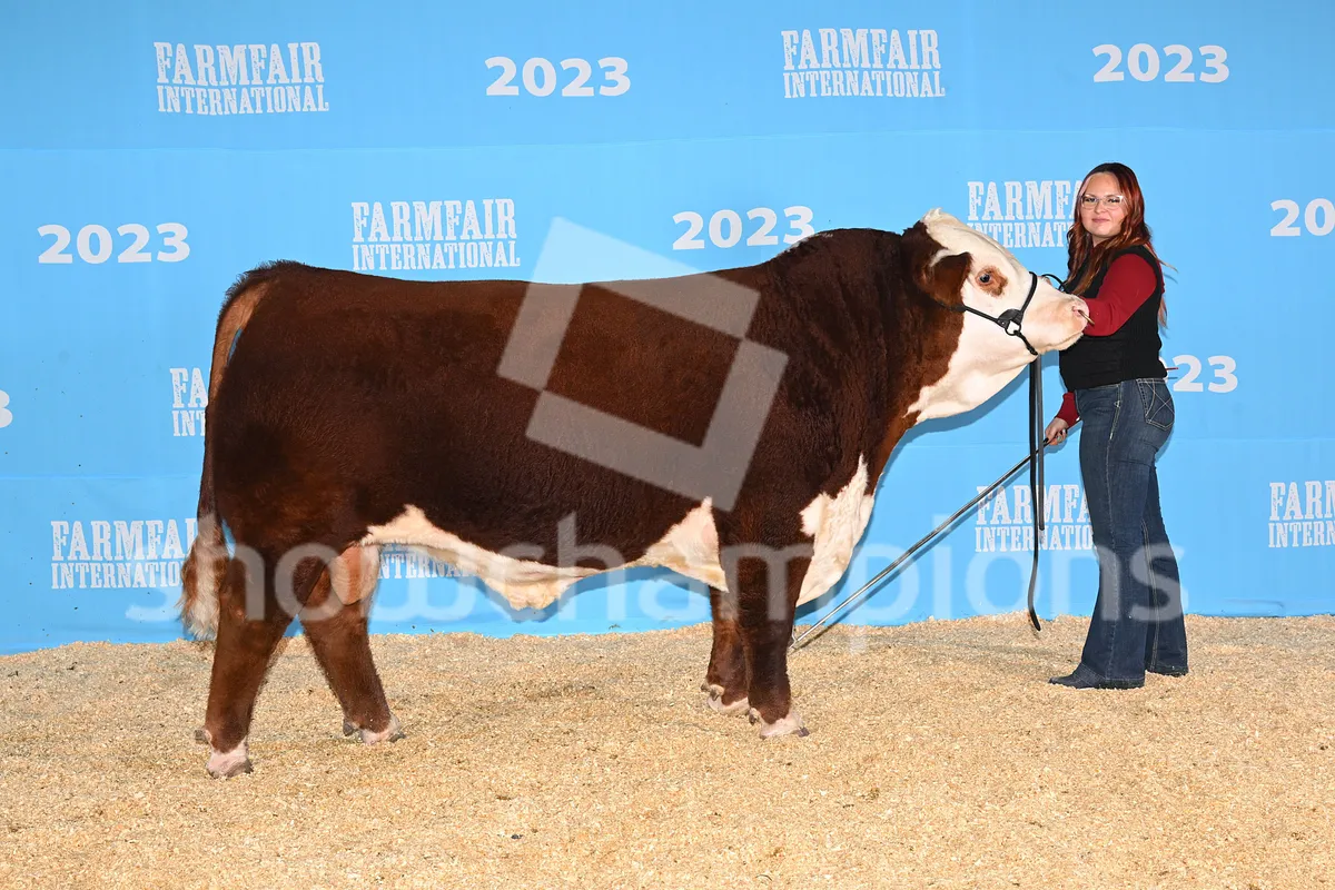 Backdrop Image J1AGirRhnfGFmUijS9S7mW