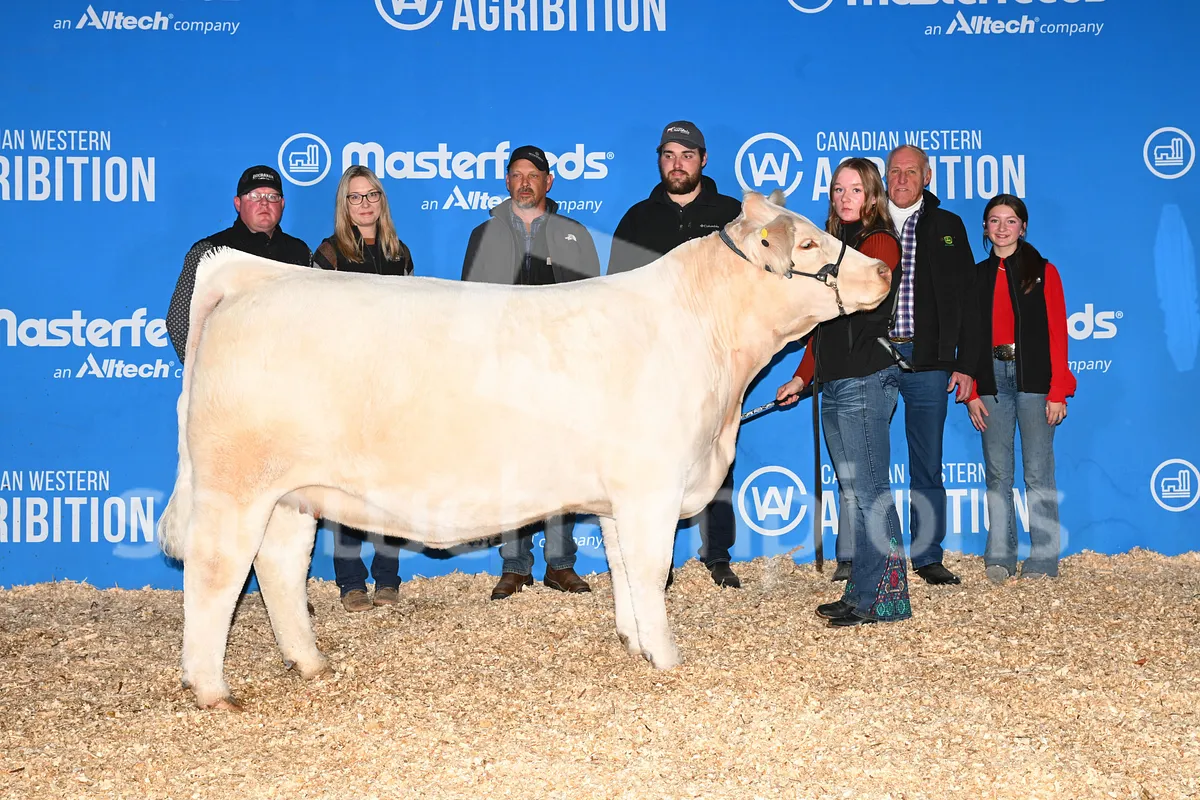 Backdrop Image MYCfVBRCfUj7vcDCMEpfwB