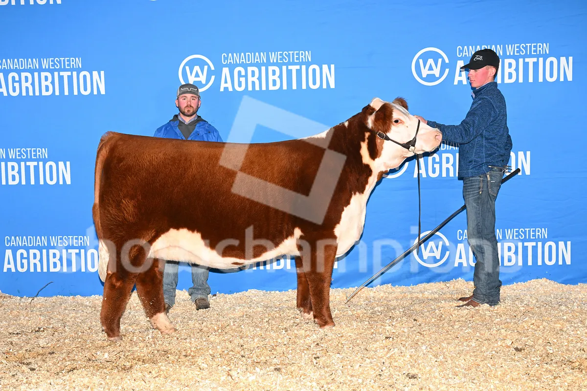 Backdrop Image Ts6bSf5YpiKDGbnSFRKyXv