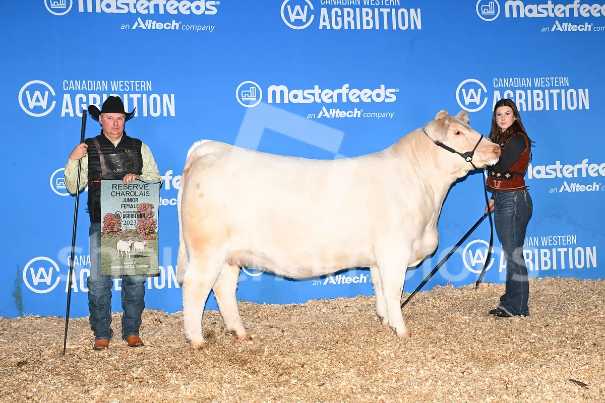 Backdrop Image TsZzxkZRzrkRZfm9vD8jCp