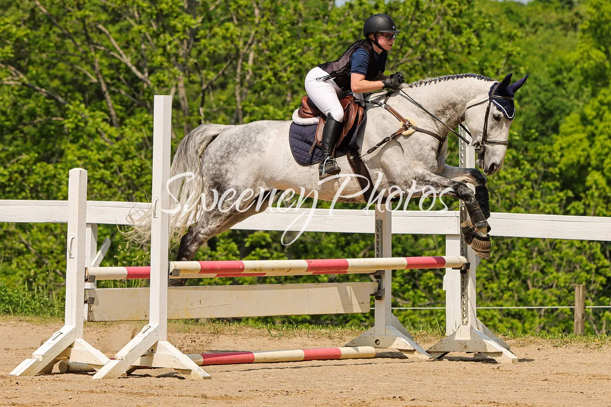 Novice & Beginner Novice Image AcaKAuoAWa2aEYUvpVhYN