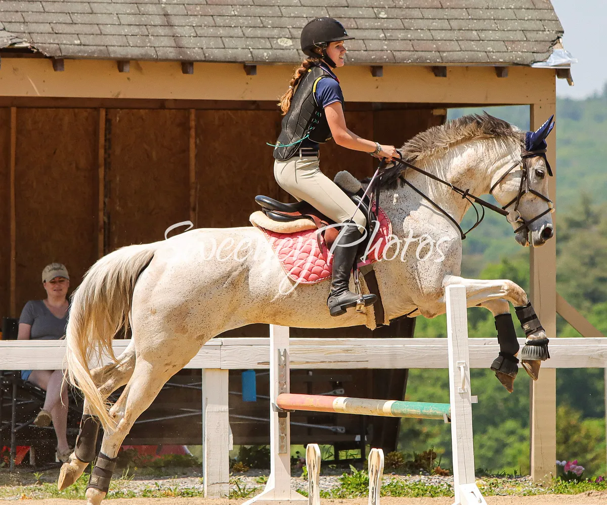 Novice & Beginner Novice Image BiD8wUkjUadPmCvUoQwPP6